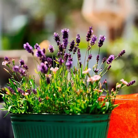 Hotel Relais & Chateaux Stricker