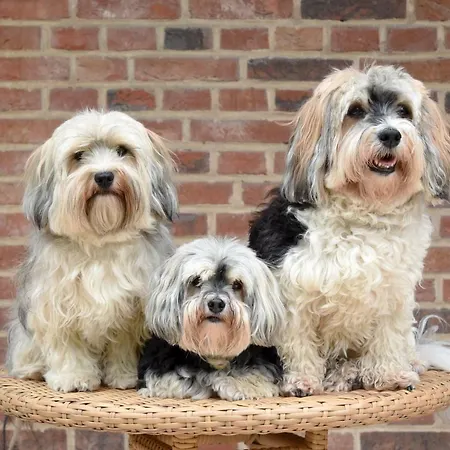 Relais & Chateaux Stricker Sylt