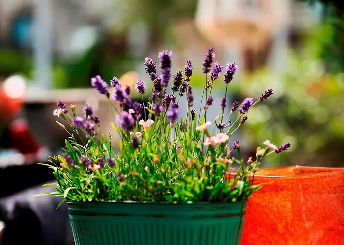 酒店 Relais & Chateaux Stricker