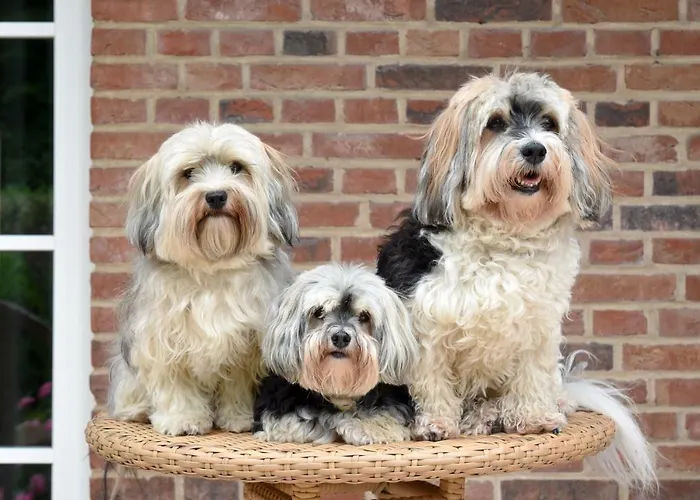 Relais & Chateaux Stricker Sylt